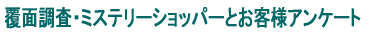 ���ʒ����E�~�X�e���[�V���b�p�[�Ƃ��q�l�A���P�[�g
