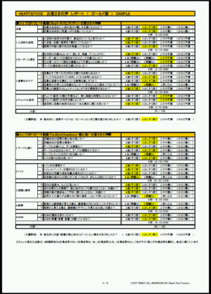 ���|�[�g3�y�[�W��